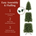 thumbnail image 6 of Best Choice Products 6ft Prelit Pencil Christmas Tree, Spruce Style Holiday Decor w/ 618 Tips, 250 Lights, Base, 6 of 9