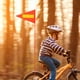 thumbnail image 5 of 5 banderines reflectantes de seguridad para bicicleta, accesorio para ciclismo infantil, 5 of 7