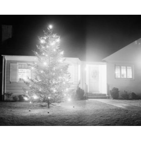 - Illuminated christmas tree outside suburban home Poster Print