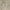Taupe, variant on Mark&Day Area Rugs, 2x3 Eckville Traditional Cream Area Rug (2' x 3')