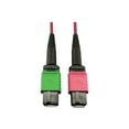 thumbnail image 2 of Eaton Tripp Lite Series 400G Multimode 50/125 OM4 Plenum Fiber Optic Cable, 16F MTP/MPO-APC to MTP/MPO-UPC (F/F), Magenta, 1 m - Network cable - MTP/MPO/APC multi-mode (F) to MTP/MPO/UPC multi-mode (F) - 1 m - fiber optic - 50 / 125 micron - OM4 - plenum - black, magenta, green, 2 of 5