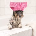 thumbnail image 5 of Gorro de ducha para mascotas Gorro impermeable: Protector de orejas para perros con vistas al baño para mascotas Protección para los oídos Ducha para gatos Protector de gotas para los oídos para gatit, 5 of 5
