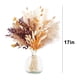 thumbnail image 3 of Decoración de hierba de pampa seca natural | Ramo de flores bohemio con colas de conejo | Tallos florales de 43 cm de alto para centros de mesa de boda y jarrones para el hogar, 3 of 8