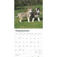 thumbnail image 4 of Siberian Huskies 2025 12 X 24 Inch Monthly Square Wall Calendar Plastic-Free (Wall), 4 of 9
