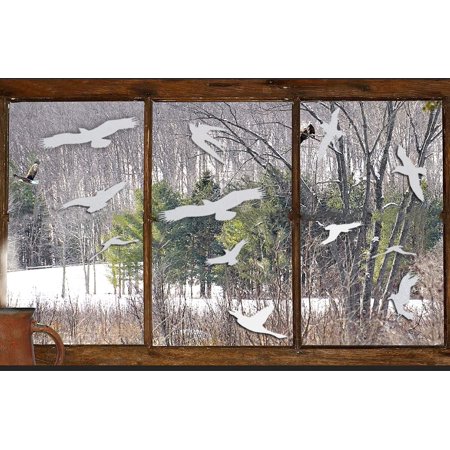 Window Bird Stickers, Anti-Collision Window Decals Prevent Bird Strikes ...