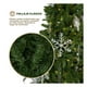 thumbnail image 2 of Árbol de Navidad Pino Canadiense Tipo Lápiz, Esquimal (Verde, 2.50 m), 2 of 6