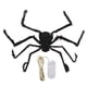 thumbnail image 2 of Araña brillante de Halloween flexible gigante duradera negra decoración de araña de Halloween terror suave para fiesta de Halloween en interiores y exteriores ANGGREK Otros, 2 of 8