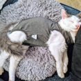 thumbnail image 5 of Traje de recuperación para gatos DOTON postoperatorio suave gris M, 5 of 5