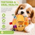 thumbnail image 4 of Colorful Squeaky Hanging Dog Training Toy with 50inch Elastic Ropes Soft, Stretchy - Durable Chew & Play Toy for All Dogs, 6-Inch Hanging Dog Toys with Cotton Material and Built-In Bell, 4 of 9