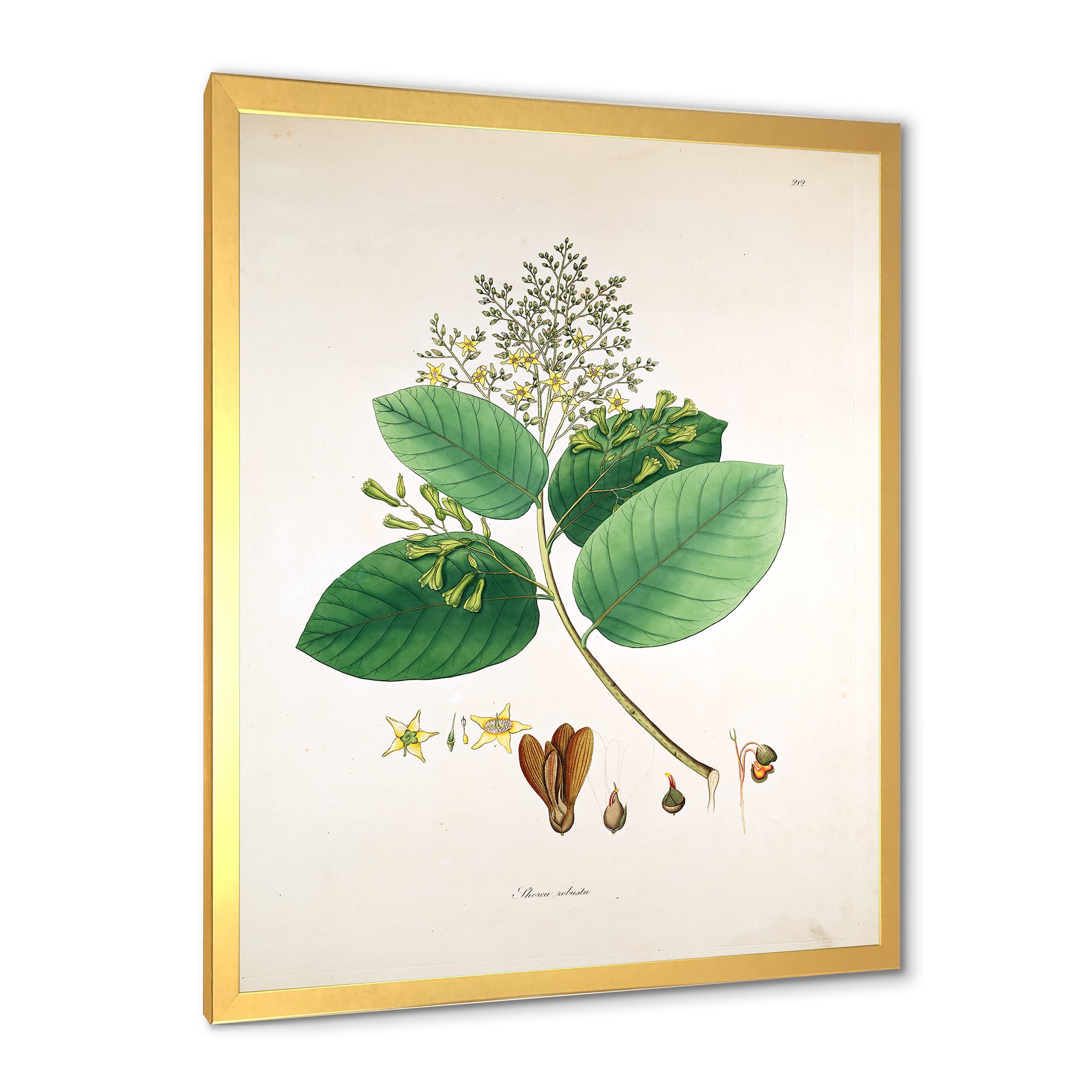 Designart 'Ancient Botanicals III' Farmhouse Framed Art Print