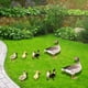 thumbnail image 4 of Estacas De Jardín Adorno de acrílico para fiestas de patio, estatuas de animales para jardín para casa, granero (D) Likrtyny  Libre de BPA, 4 of 5