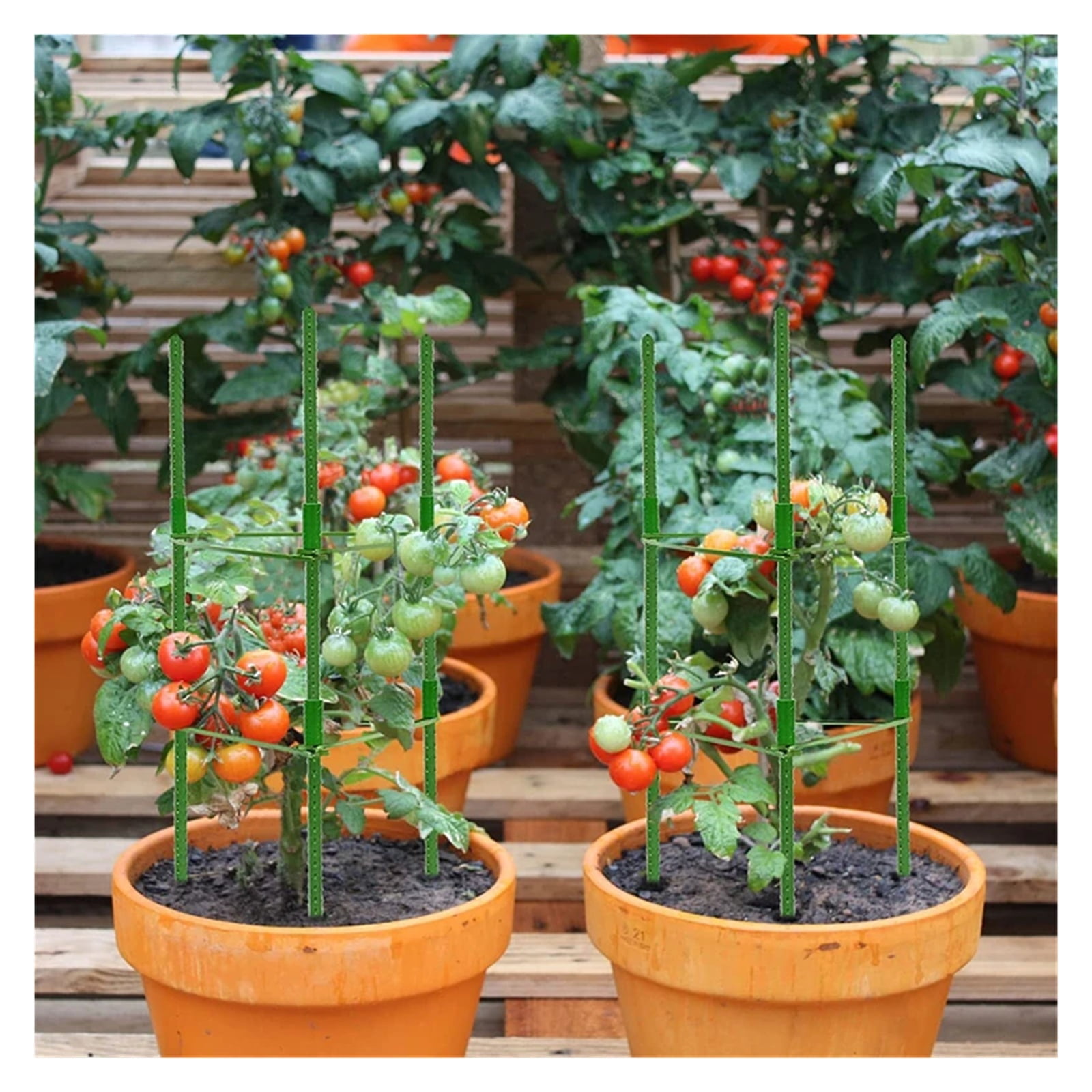 1 Pack Tomato Cage 3.9 Feet, Plant Support Cage Assembled Tomato Garden Cages Stakes Vegetable Support Trellis