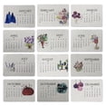 thumbnail image 2 of Plantable Seed Calendar 2027,Growable Seed Calendar,Monthly Seed Calendar,Wildflower Embedded Desk Calendar,Sustainable Monthly Planner Wildflower Seed Paper For Home Decor & Garden Gift, 2 of 7
