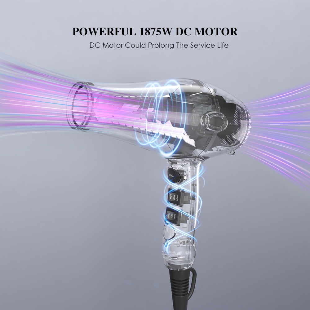 Pro Negative Ionic Hair Dryer with Diffuser, 1875W Lightweight Blow Dryer for Fast Drying, 2 Speed 3 Heat Settings, Purple Dryer