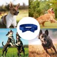 thumbnail image 5 of Collares y correas para perros: 12 correas sólidas y suaves y collares de pajarita ajustables, 5 of 5