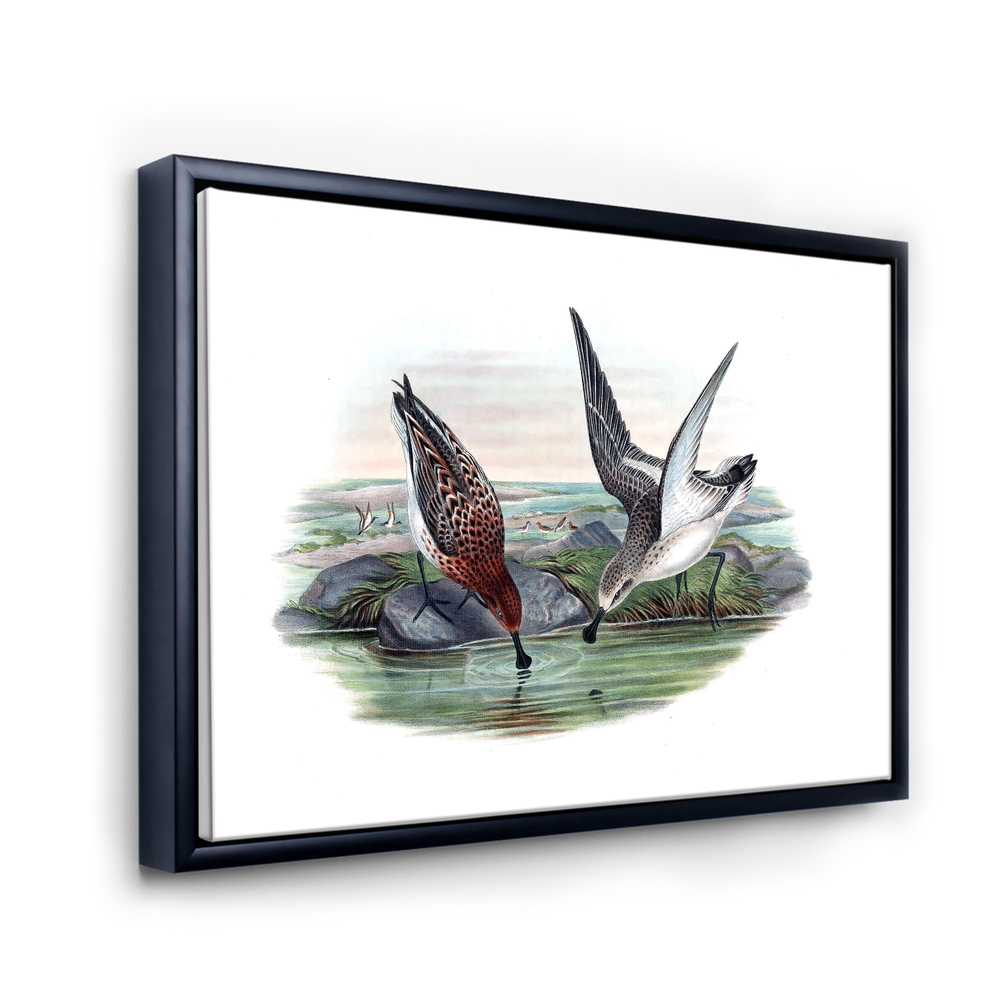 Designart 'Vintage Countryside Two Birds In Lake' Farmhouse Framed Canvas Wall Art Print
