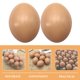 thumbnail image 2 of 12 huevos falsos para decorar huevos de Pascua (DIY), ideales para pintar y decorar el jardín., 2 of 8
