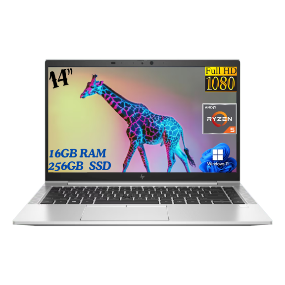 Laptop HP EliteBook 845 G7 14" FHD, AMD Ryzen 5 PRO 4650U, 16GB RAM, 256GB SSD, Windows 11 Pro, Plata (Reacondicionada)