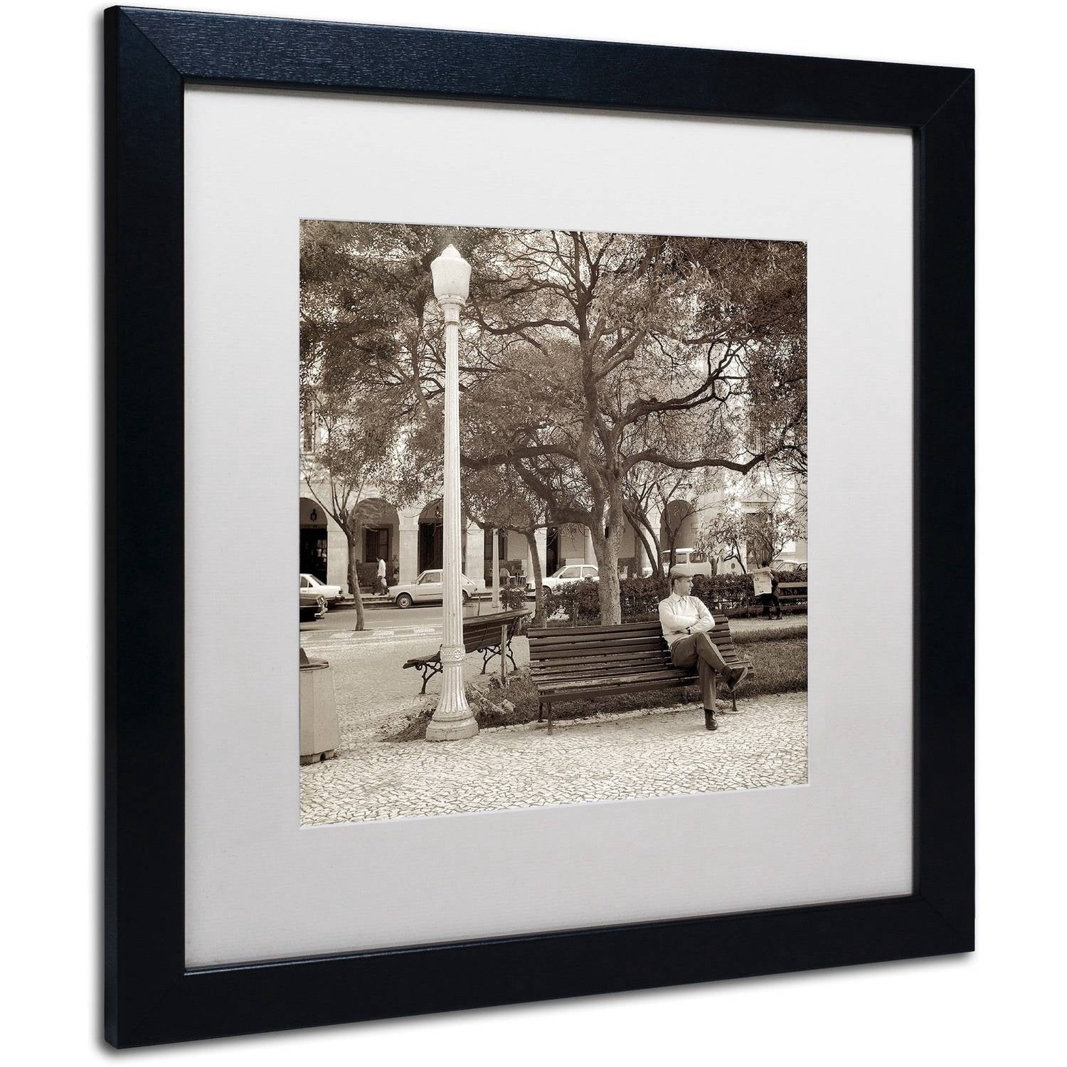 Trademark Fine Art "Faro I" Canvas Art by Alan Blaustein, White Matte, Black Frame