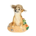 thumbnail image 1 of Estatua de animales de jardín, sombrero de paja, adornos de suricata, artículos de resina, decoración de jardín, construido para profesionales, 1 of 14