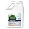 Glass And Surface Cleaner, Free And Clear, 1 Gal Bottle | Bundle of 2 Each