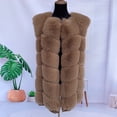 thumbnail image 4 of Abrigo de piel sintética para mujer, chaleco de piel de zorro falso, Chaqueta de felpa para mujer, chaleco de piel sintética para mujer, gabardina esponjosa de moda, primavera y otoño, 4 of 5