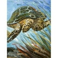 thumbnail image 1 of Carolines Treasures JMK1168CHF Loggerhead Sea Turtle Flag Canvas House Size, 1 of 4