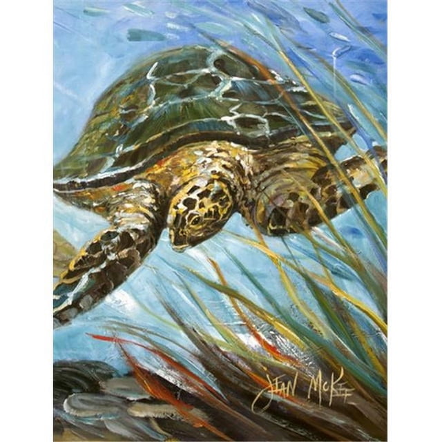 Carolines Treasures JMK1168CHF Loggerhead Sea Turtle Flag Canvas House Size