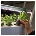thumbnail image 3 of Hydroponics Growing System Indoor Smart Herb Vertical Garden Kit Automatic LED Grow Lights Planter For Home Kitchen ,Easy to Use, 3 of 6