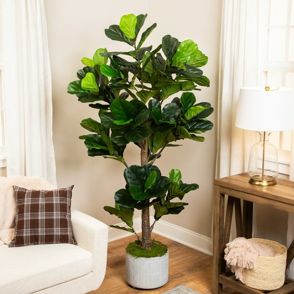 Northlight Potted Two Tone Green Artificial Wide Fiddle Leaf Fig Tree - 6.25'