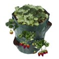 thumbnail image 3 of Coofit Strawberry Plant Bag Creative Plastic Strawberry Planter Planting Grow Bag, 3 of 8