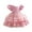 C, variant on 6M-4Y Newborn Baby Dresses Gift Girl Sleeveless Kawaii Princess Birthday Party Skirt Dress Little Girls Bowknot Flower Dress
