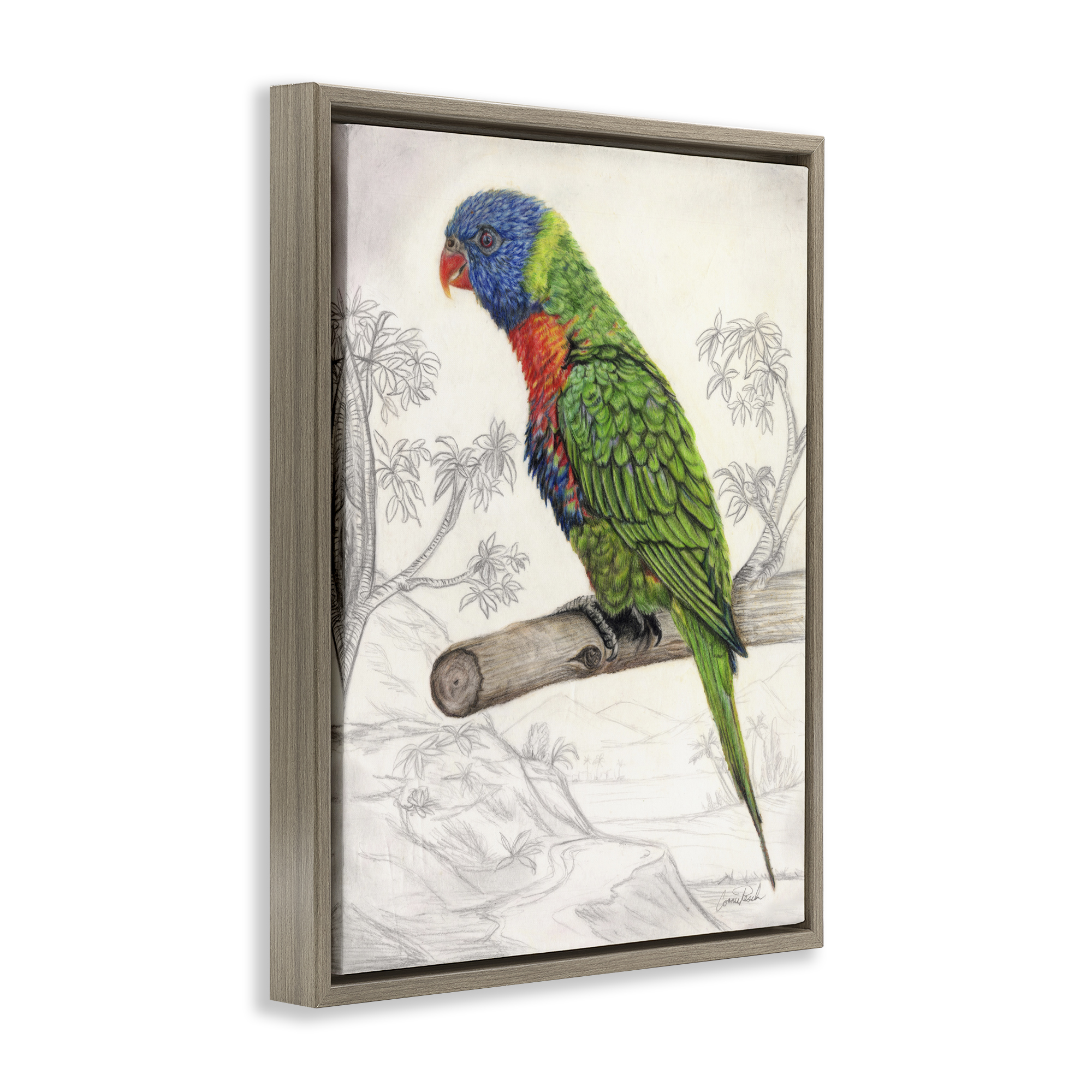 Stupell Industries Lorikeet Sketched Nature Animals & Insects Painting Brown Floater Framed Canvas Art Print Wall Art, 25 x 31