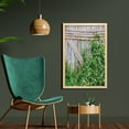 thumbnail image 2 of Farmland Wall Art with Frame, Bamboo Fence Covered by Ivy Daisy Flower Blooms Chamomile Petals Picture, Printed Fabric Poster for Bathroom Living Room, 23" x 35", Green Pale Brown, by Ambesonne, 2 of 2