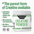 thumbnail image 4 of Probase Nutrition Creatine Powder 300 Grams, 4 of 7