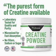 Probase Nutrition Creatine Powder 300 Grams
