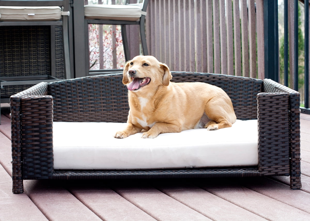Iconic Pet Rectangular Elevated Rattan/ Wicker Pet Furniture for Dogs / Cats
