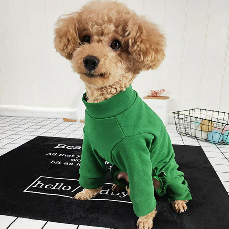 Cold weather clothes- sweater or full onesie needed? : r/poodles