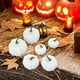 thumbnail image 3 of Modelo de calabazas artificiales, 6 uds., verduras artificiales, bonitas calabazas artificiales rústicas DIY para Halloween, chimenea, tienda, adorno Estilo C, 3 of 5