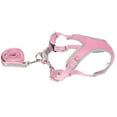 thumbnail image 1 of Hilitand Dog Adjustable Harness, Soft Mesh Fabric Dog Harness With Leash For Decorations For Souvenir For Gift For Pet, 1 of 8