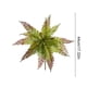 thumbnail image 3 of CaiYueKe Artificial Boston Fern Plants Bushes Fake Shrubs Bush Greenery Plants Faux Fern Plant for Outdoors UV Resistant Garden Plants or Home Office Desk Indoor Decor, 3 of 7