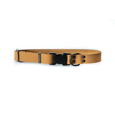 UPC: 0686162716500 | Sport Style Luxury Leather Dog Collar