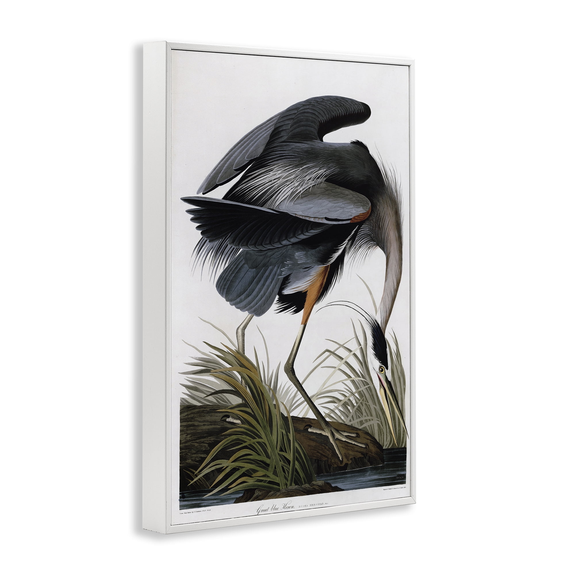 Stupell Industries Classic Heron at Lake Animals & Insects Painting White Framed Art Print Wall Art, 20 x 30