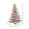 thumbnail image 3 of Vickerman 6.5' Flocked Sierra Fir Artificial Christmas Tree, Clear Dura-Lit lights, 3 of 5