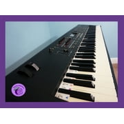 PLUM ROSE Removable Piano Keyboard Note Labels 88-Keys