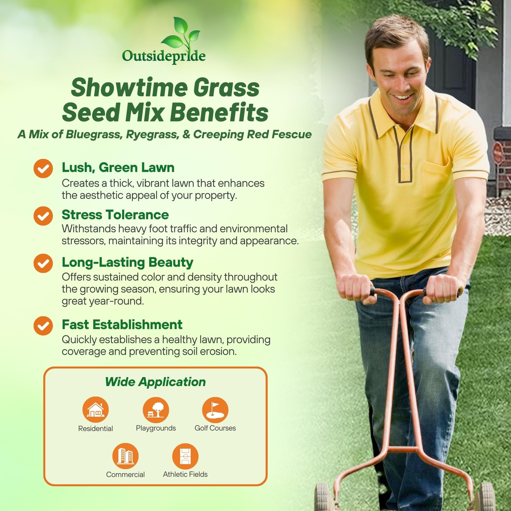 Outsidepride Showtime Perennial Rye, Bluegrass & Fine Fescue Grass Seeds, 5 lb - Shade & Wear Tolerant