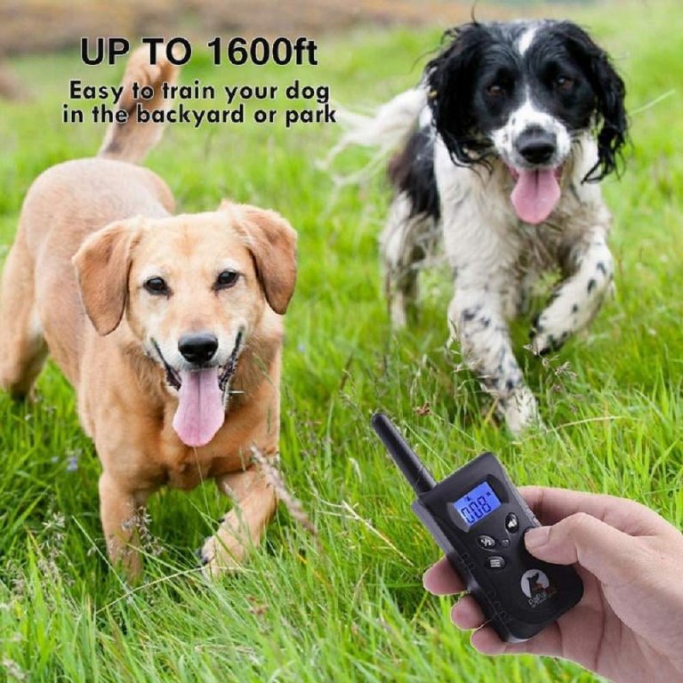 best vibrating collar for dogs The Best Vibrating Dog Collars: Reviewed and Ranked
