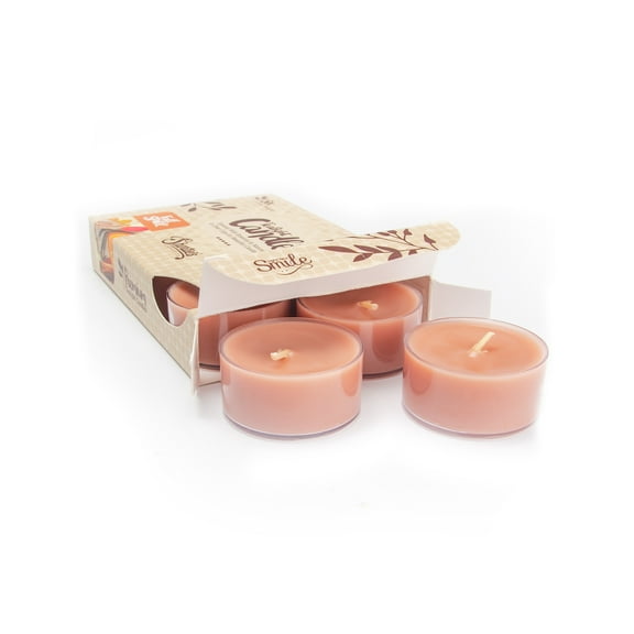 Fall Spice Tealight Candles - 6 Green Premium Scented Tea Lights - Natural Oils - Shortie's Candle Company