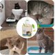 thumbnail image 2 of Cat Litter Deodorizer, Cat Urine Deodorants Dog Deodorants, 50ml Room Deodorizer for Cat Litter Box Eliminates Smells, Freshens Air Safe for Cats Dogs, 2 of 5