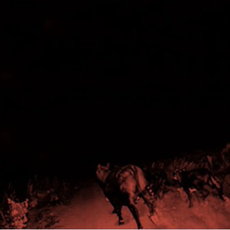 SHADOW ON EVERYTH